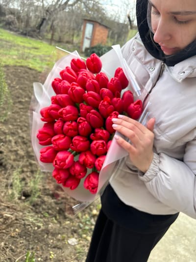 An individual is depicted holding a large bouquet of red tulips outdoors in Trudobelikovskiy, Russia. The person, appearing to be a young adult female, is partially visible from the chest upwards on the right side of the frame, wearing a light-colored puffer jacket over a black hoodie and a black garment below. Her head is tilted downwards, and she is looking at the bouquet while her left hand, displaying a light pink manicure, rests on its wrapping.

The bouquet consists of approximately 50-60 vibrant red tulips, tightly clustered and wrapped in a multi-layered fashion with an inner translucent white paper-like material and an outer clear plastic film. The background reveals an outdoor setting with brown, tilled earth in the foreground and mid-ground on the left, transitioning to green grass and sparse, bare deciduous trees. A small, rectangular shed with red-toned walls and a light-colored door is visible in the distant background, to the right of the bouquet. The lighting appears diffused, indicative of an overcast day.