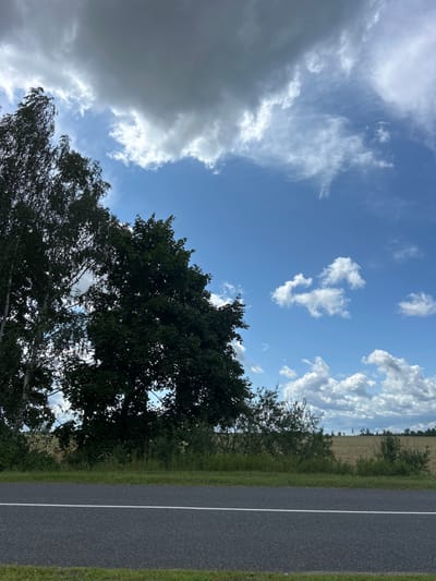 This is a photograph of a rural landscape in Belarus. The scene depicts a paved road with a white line marking its center, running vertically along the right side of the frame. To the left of the road is a grassy verge, followed by a line of trees and shrubs. Beyond the vegetation, a harvested field is visible, stretching towards a distant tree line. The sky above is a clear blue, dotted with various types of clouds, ranging from wispy cirrus clouds to larger, more voluminous cumulus formations. The lighting suggests it is daytime, likely late afternoon given the angle of the sun, though the sky is partially obscured by clouds. The overall mood is peaceful and serene, capturing a quiet moment in the countryside. There is no visible text in the image.