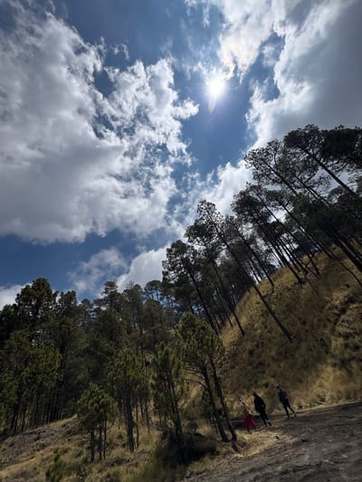 The image presents a low-angle view of a landscape, appearing to be in the mountainous region around Popocatépetl, Mexico, given the type of vegetation and landscape present. The sky dominates the left side of the frame, showing a partly cloudy blue sky with the sun shining through the clouds. The right side features a mix of forested area with tall, thin trees. There are three figures visible on a path or trail at the very top right. The ground cover appears to be a mix of sparse vegetation and exposed dirt or rock. The photograph is taken at an angle, giving a somewhat disorienting perspective, but highlighting the height and density of the tree cover.