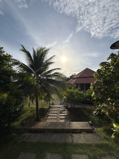 A vertical, eye-level, wide-angle shot captures a serene outdoor scene bathed in the warm glow of the afternoon sun. The sun, a bright, diffused orb, hangs high in a sky adorned with scattered, wispy clouds, casting a gentle light over the landscape. In the foreground, a concrete pathway, interspersed with small stones, leads the eye towards a building situated in the mid-ground. This pathway is bordered by lush green grass and a rough-hewn wooden bench. To the left of the pathway stands a tall, slender coconut palm tree, its fronds reaching towards the sky. Further back, a building with a distinctive red-tiled, pyramidal roof is partially visible through a dense screen of greenery, including trees and bushes. The overall impression is one of tranquility and natural beauty, possibly within a resort or a private residence in a tropical setting, like Ban Ta Khun, Thailand.