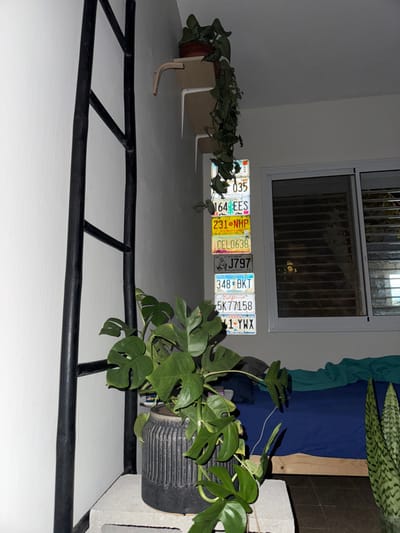 The image depicts an indoor residential room. No individuals are present. A black, three-rung ladder-like structure leans against a white wall on the left. In the lower-left foreground, a potted plant with large, deeply lobed green leaves is situated on a grey cinder block. The plant is contained within a dark grey, ridged pot. Above, a light-colored wooden shelf, secured by white brackets, is mounted on the white wall, holding a smaller potted plant with trailing green foliage. Below this shelf, a vertical stack of eight North American vehicle license plates is affixed to the wall, displaying alphanumeric combinations including "164 EES," "231 NHP," "CEL0638," "J797," "348 BKT" (from Yukon), "5K77158" (from California), and "41-YWX." On the right, a white-framed window with two sliding panes is visible, covered by dark horizontal blinds. Below the window, a bed with a wooden frame, a blue fitted sheet, and a teal blanket is partially visible. To the right of the bed, a tall snake plant is partially discernible in a pot. The room is dimly lit. The displayed license plates indicate a North American origin for some objects, and the image contains no visual information to suggest a location within Gilboa Regional Council, Israel.