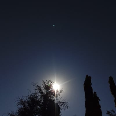 The image captures an outdoor scene in Estômbar e Parchal, Portugal, under a clear, dark blue sky. The sun, exhibiting a pronounced starburst effect, is positioned low in the sky, partially obscured by the upper foliage of a silhouetted broadleaf tree with drooping branches located in the lower-left quadrant. To the right, two or more tall, slender trees, possibly cypresses, stand in dark silhouette against the bright light. A faint, small, light-blue circular artifact is present in the upper-left portion of the sky, consistent with a lens flare. No individuals or specific actions are visible within the frame.