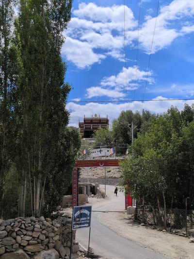A vertical, slightly high-angle, full shot captures the landscape of Phyang, India, dominated by a vibrant blue sky dotted with white, fluffy clouds. In the foreground, a dry-stone wall constructed from irregular grey and brown stones lines the left side of a winding grey asphalt road. A dark blue signpost with white lettering stands near the wall. The sign reads "PHYANG GONPA" in large letters, followed by "LEH-LADAKH" and "ARCHAEOLOGICAL SURVEY OF INDIA" in smaller text, with an arrow pointing to the right.

A row of tall, slender trees with lush green foliage stands to the left of the road, their trunks light-colored and their branches reaching towards the sky. On the right side of the road, a dense cluster of trees with darker green leaves partially obscures the view of a chain-link fence.

The road leads towards a large, arched gateway adorned with red pillars and a horizontal red banner displaying Tibetan script. Beyond the gateway, a white building with flags is visible. Further up a gentle slope, a large, multi-story building with distinctive pagoda-style architecture and ornate wooden carvings stands prominently against the sky. A lone figure, appearing to be a person walking away from the camera, is seen on the road near the red gateway. The environment suggests a rural or semi-rural setting with a clear, sunny day.