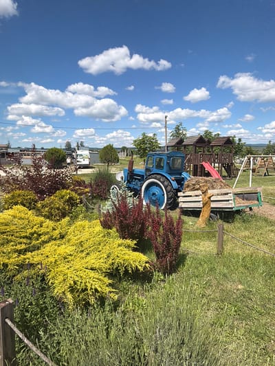 This image captures a vibrant, sunny outdoor scene in Gay-Kodzor, Russia, featuring a blend of rustic charm and recreational elements. The time of day appears to be mid-day, characterized by bright sunlight and a clear blue sky adorned with scattered, fluffy white cumulus clouds.
In the foreground and midground, a prominent vintage-style blue tractor with white wheel rims and black tires stands on green grass. Immediately next to the tractor, a wooden trailer or wagon is filled with hay or straw, and a carved wooden figure, possibly a scarecrow or totem, is placed on the trailer. Behind this agricultural display, a multi-tiered wooden playground structure with a distinct red slide is visible, suggesting a family-friendly or recreational area.
The landscape is rich with diverse foliage. In the immediate foreground on the right, a bright yellow-green bushy plant creates a striking contrast with a dark red/burgundy thorny bush positioned near the tractor's front wheel. Further to the right, a dense mass of green, narrow-leaved shrubbery is present. The ground throughout the visible area is covered in green grass. In the background, additional green trees and bushes are scattered, and glimpses of distant structures, including what appears to be a white utility van and other buildings, can be seen. A utility pole with wires is also visible. A simple rope fence runs along the bottom right edge of the frame.
No people are present in the image, and no specific activity is taking place; the scene appears to be a static, well-maintained outdoor display. The overall atmosphere is pleasant and inviting, evoking a sense of rural leisure. There is no discernible text visible within the image.
