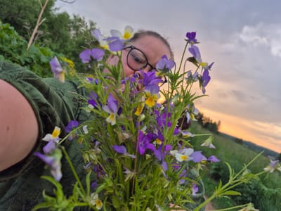 A person wearing glasses and a green shirt holds a bouquet of purple and yellow wildflowers in front of them, obscuring their face. They are outdoors in a grassy field with trees in the background. The sky is cloudy and shows the warm colors of sunset. The image appears to be taken in Doinaya, Russia.