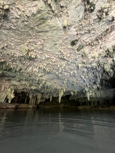The image shows the ceiling of a cave, characterized by numerous stalactites hanging down, some appearing long and slender, others shorter and more clustered. Patches of green moss or algae are visible on the rough, textured surface of the cave ceiling. Below the formations, a body of dark, calm water reflects the overhead structures, creating a muted, rippled surface. The water appears to fill a significant portion of the cave floor, suggesting a submerged passage or a cave with an underground river. The lighting is dim, typical of a subterranean environment, with shadows obscuring deeper parts of the cave. The image captures the geological formations and the serene water within the cave, evoking a sense of natural wonder and mystery. This scene is from the Tham Lod cave in Ao Luek, Thailand.
