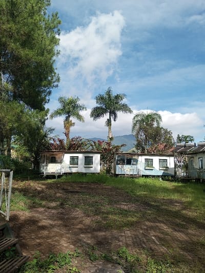 A row of small, white, box-shaped structures with windows and platform entrances sit in an overgrown yard beneath palm trees and foliage. The structures are adorned with colorful designs. Mountains rise in the distance, visible between the trees and buildings. A blue sky filled with fluffy white clouds provides the backdrop. The foreground shows a patch of ground with a mixture of grass and dirt. A metal structure stands in the left corner.