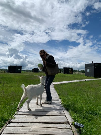 A young woman with sunglasses and dreadlocks is standing on a wooden walkway in a grassy field, offering a head of lettuce to a small white goat. The goat is reaching up to take the lettuce. In the background, several identical small, modern, black cabins are visible, spaced out across the field. The sky is partly cloudy with dramatic white clouds against a blue sky. A small solar panel is visible on the edge of the walkway. The scene appears to be a rural resort or glamping site in the city of Opsa, Belarus.