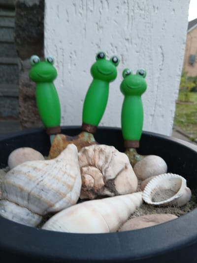 Three novelty gardening trowels with green frog-shaped handles are partially submerged in a black planter filled with sand, shells, and rocks. The trowels' metal parts are rusty and weathered. The planter is situated outdoors, in front of a textured white wall and a dark, possibly wooden, vertical structure. In the background, out of focus, a building with a brown roof and a grassy area are visible, suggesting a residential or garden setting. The overall impression is one of decorative garden elements. The image's context of Vita-Poshtova, Ukraine, indicates an outdoor location within a Ukrainian city.