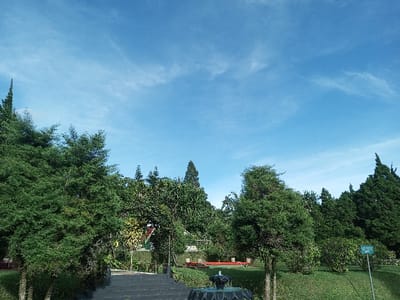 The image depicts an outdoor park or garden scene in Salai Har Htan, Myanmar, under a clear blue sky with sparse, white cirrus clouds. The foreground and midground feature well-maintained green grass. A set of dark-colored, possibly stone, stairs ascends from the lower left towards the mid-center. In the lower center, a dark, multi-tiered decorative fountain basin is visible. Numerous dense, dark green trees and shrubs, consistent with coniferous or evergreen species, populate the scene, particularly along the left and right edges, and in the background. Several red benches are positioned in the midground beneath trees, to the right of the stairs. A light-colored informational sign on a dark pole is visible on the right side of the frame. A building structure with a red roof is partially visible through the trees in the mid-left background. No individuals, animals, or active water flow from the fountain are present. The scene is illuminated by natural daylight.
