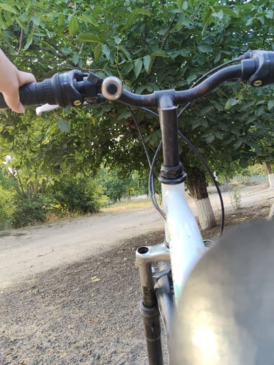 The image captures a first-person perspective from a bicycle, looking forward. The handlebars of the bicycle are prominent in the foreground, with a hand gripping the left side. A silver bell is attached to the handlebars. The bicycle is white with some green floral patterns visible on the frame. The scene is set outdoors, with a dirt path leading into the distance. Lush green trees with dense foliage form a backdrop, suggesting a warm, sunny day, possibly late afternoon given the lighting. The overall setting appears to be a rural or park-like area, with a sense of tranquility and an invitation to a leisurely ride. There are no discernible emotions, but the scene evokes a peaceful and pleasant outdoor experience. No visible text is present in the image.