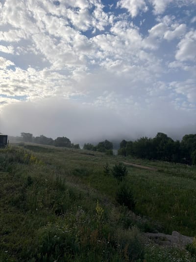 The image depicts a misty morning landscape, possibly in Avchurino, Russia, characterized by a foreground of dense, wild grass and wildflowers on a gentle slope. A dirt path winds through the grassy area. In the midground, a line of trees, some appearing dense and leafy, others more sparse, separates the field from a body of water that is almost completely obscured by thick fog. In the background, the sky is a mix of blue and white clouds, with sunlight breaking through in the upper left quadrant. A dark, indistinct structure, possibly a building or shed, is partially visible on the far left of the frame, near the edge of the foggy area. The overall atmosphere is serene and natural, with a focus on the interplay of light, mist, and vegetation.