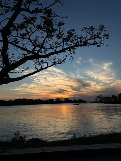 The image is a horizontally-oriented, slightly underexposed shot of a sunset scene, presumably taken in Tampico, Mexico. The composition is divided roughly in half: the left side features a bare tree silhouette against a blue and pale yellow sunset sky with feathery clouds. The right half of the image depicts a body of water reflecting the sunset colors, with a glimmering reflection of the sun visible on the water’s surface. The shoreline is partially visible, and is framed in the lower right. In the distant background, there is a silhouette of land and what appears to be an electrical tower.