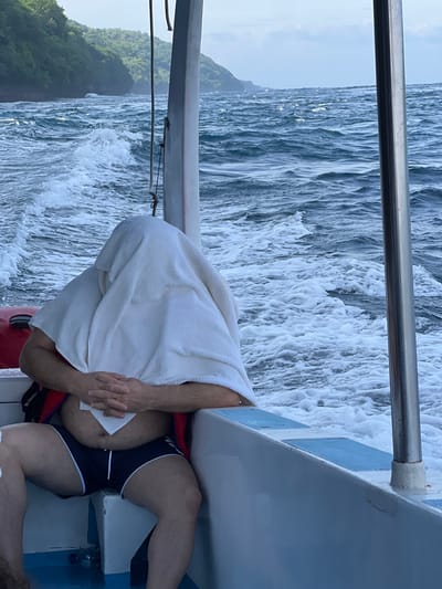 A person in a boat is covered by a white towel from the neck down. The person wears dark blue shorts with white stripes. The boat speeds through the ocean, leaving a trail of foamy water. In the background, there is a blurry view of a lush, green coastline. A metal railing and part of the boat's structure are visible in the frame.