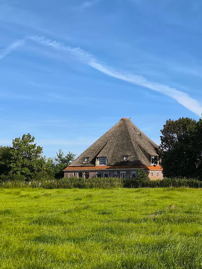 This media file depicts a Dutch farmhouse with a distinctive thatched pyramid-shaped roof. The farmhouse is constructed of brick and has several windows. It is surrounded by lush green grass, mature trees, and other vegetation. The sky is a clear blue with wispy white clouds, suggesting a pleasant day. The sun appears to be high in the sky, indicating it is likely midday or early afternoon. The overall scene conveys a sense of rural tranquility and traditional Dutch architecture. The location context provided is Bergen, Netherlands, which aligns with the characteristic style of the building and landscape. There is no visible text in the image.