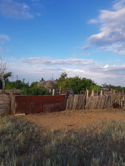 The image depicts a rural scene in the village of Dolen in Kazakhstan. In the foreground, dry, tall grasses are visible, transitioning into a patch of dry soil behind which a weathered, rusty metal barrier stands. Beyond this barrier, a rustic wooden fence is erected, constructed from irregularly spaced vertical planks. Behind the fence, several dilapidated wooden structures, possibly sheds or storage units, are scattered. Further in the background, a dense line of green trees forms a natural backdrop, obscuring some of the dwellings. A single, tall, weathered tree with white bark stands to the left of the frame, amidst the greenery. A traditional-looking house with a tiled roof is partially visible through the trees. Power lines and poles are also present, indicating the presence of electricity infrastructure. The sky above is a clear blue, punctuated by scattered white clouds, suggesting fair weather. The overall impression is one of a humble, rural setting with signs of age and disrepair.