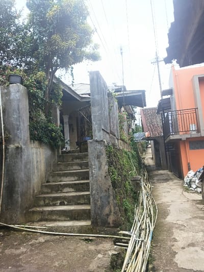 This image depicts a narrow residential alleyway in the city of Bien Hoa, Vietnam, characterized by upward-sloping concrete surfaces and surrounding structures under an overcast sky. In the foreground on the left, a set of approximately eight weathered concrete steps ascends alongside a concrete retaining wall, which is partially covered in moss and green vegetation. A dark-colored planter sits atop a concrete pillar adjacent to the stairs. Above the steps, a building with a corrugated metal roof and white support pillars on its porch is partially visible, obscured by a mature tree with variegated green and yellow leaves and dense green foliage.
To the right of the steps and wall, the concrete alleyway narrows as it recedes into the distance. Along the right edge of the path, a collection of bundled white and light-colored plastic pipes lies in a shallow ditch or channel. Further down the alleyway on the right, a two-story building painted orange features a black metal balcony railing on its upper floor. Additional structures with reddish-brown tiled roofs are visible further along the path, which appears to curve or ascend steeply. Overhead, utility poles and numerous power lines are visible against the bright, featureless sky. No individuals are present in the scene.