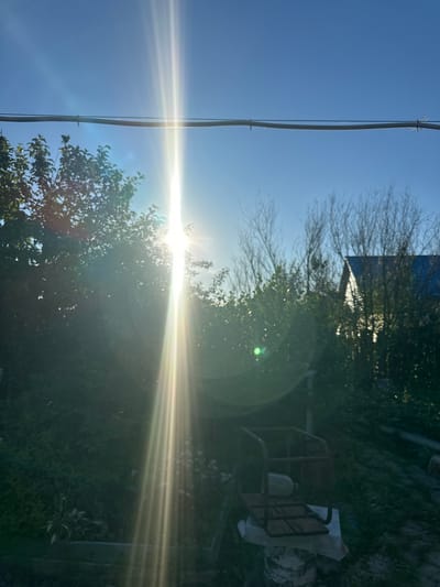 This is a photograph taken outdoors in Карачино, Russia. The scene is a backyard or garden area, with abundant greenery from trees and bushes filling much of the frame. In the background, a house or building with a dark blue roof is partially visible through the trees.

The dominant element in the image is the sun, which is very bright and positioned in the middle of the frame, creating a strong lens flare and light streaks that extend across the image. The sun's intense glare suggests it is likely midday or late afternoon, with clear weather.

In the foreground and to the right, there are some objects that appear to be garden equipment or discarded items. One object looks like a metal cart with a wooden seat and possibly a container on it, and next to it is a white sheet or tarp. A thin, dark wire runs vertically from the top left of the image down towards the center, possibly a power line or clothesline, with visible insulators.

The overall impression is one of a sunny, outdoor setting with a slightly unkempt or rustic feel, emphasized by the scattered objects. The bright sunlight, while illuminating the scene, also obscures some details due to its intensity and the resulting lens flare. There is no visible text in the image.