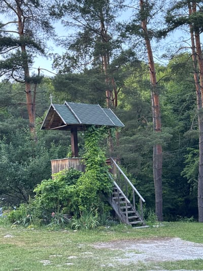The image shows an outdoor scene in Lisnyky, Ukraine, featuring a small wooden structure with a pitched, green-tiled roof, resembling a well house or a small chapel. The structure is situated amidst dense greenery, including trees with tall, slender trunks and lush foliage. The structure itself appears aged, with wooden planks forming its base and a wooden staircase leading up to its entrance. The structure is partially overgrown with vines and other plants, suggesting it is integrated into the natural environment. In the foreground, there is a grassy area, with some patches of lighter colored ground, possibly gravel or dirt. The background is dominated by a dense forest. The sky is visible in the upper portion of the image and appears overcast or during twilight. No people are visible in the image.