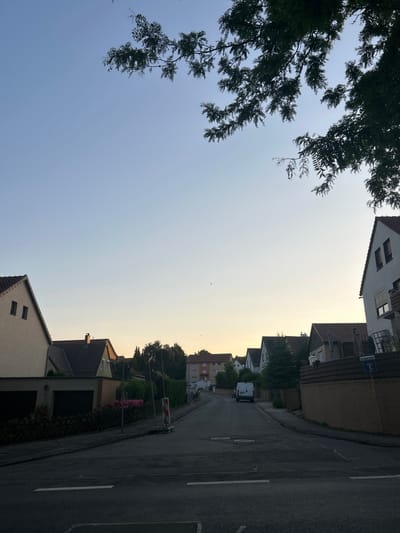A street scene in Schöningen, Germany, is depicted during the twilight hours. The sky is a gradient of pale blue to soft orange near the horizon. Overhead, dark tree branches with small leaves partially obscure the sky. On either side of the asphalt road, lined with white dashed and solid white lines, are residential houses with tiled roofs. Some houses have garages with dark doors. A white van is parked further down the street. A wooden fence borders one side of the road, and a brick wall is visible behind it. A blue street sign with white text "Am Brauseteiche" is affixed to the fence. Traffic cones and construction barriers are present near the roadside. The overall impression is a quiet, suburban residential area at the close of day.