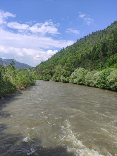 This is a photograph taken from a bridge overlooking the Mtkvari River in Borjomi, Georgia. The river, characterized by its murky, fast-flowing water with visible white rapids, occupies the majority of the foreground. The left bank of the river is lined with lush green trees and foliage, with a glimpse of distant mountains in the background. The right bank is dominated by a steep, densely forested mountain slope covered in a vibrant green mix of deciduous and coniferous trees. The sky above is a clear blue with scattered fluffy white clouds, suggesting a pleasant, sunny day. There are no people or man-made structures visible in the frame, emphasizing the natural landscape.