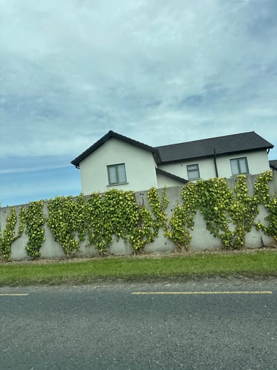 The image depicts a section of a modern house with a dark tiled roof and light-colored walls, partially obscured by a concrete wall covered in climbing ivy. The house has multiple windows visible. In front of the wall, there is a strip of green grass and a grey asphalt road with a yellow line painted on it. The sky above is cloudy with some patches of blue. The scene appears to be in a suburban or rural setting. The image appears to be taken from a moving vehicle due to the perspective and the slight blur of the road. There are no people or animals visible in the image.