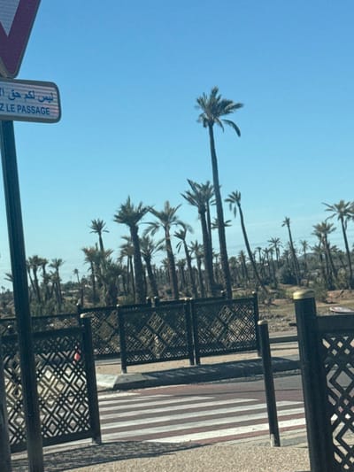 The image displays an outdoor daytime scene in Ouahat Sidi Brahim, Morocco, under a clear, bright blue sky. The background is dominated by a dense palm grove composed of numerous tall and slender date palm trees with visible fronds. In the midground, a dark-colored metal fence featuring a repeating geometric diamond pattern runs horizontally across the frame. Several fence posts, some topped with gold-colored cylindrical caps, are visible along this barrier. The foreground shows a segment of a paved road with a pedestrian crossing marked by alternating white and reddish-brown stripes. To the left, a dark metal pole supports a rectangular white sign displaying text in Arabic and the partial French phrase "Z LE PASSAGE." A portion of a red and white triangular road sign is visible directly above this white sign. Shadows from the pole and fence are cast onto the ground, indicating direct sunlight from the upper left. No individuals or vehicles are present in the scene.