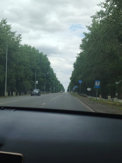 The image depicts a straight, paved road lined with tall, lush green trees on both sides, characteristic of an urban or suburban environment. The road has multiple lanes, indicated by white dashed lines. There are streetlights positioned periodically along the road. In the foreground, the dashboard of a vehicle is visible, suggesting the photo was taken from inside a car. Several cars are present on the road, including a dark-colored sedan in the left lane. Traffic signs are visible on poles, some indicating directional information and a medical facility symbol. The sky is overcast with clouds. The location appears to be Tselina, Russia, based on the provided context. The overall scene portrays a normal day on a well-maintained road.