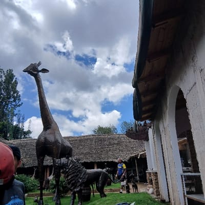 The image depicts an outdoor environment in Mweka, Tanzania, under a sky with scattered white clouds. A large, dark-toned giraffe statue stands prominently on a patch of green grass in the left-center, with a dark-toned lion statue positioned beneath it. To the right of the lion, a male individual wearing a blue and yellow shirt, white shorts, and a red cap is visible, holding a leash attached to one of several smaller animal statues. In the far left foreground, the back of a person's head, wearing a red cap, is present. Architectural features include a building with a substantial thatched roof in the mid-background and a light-colored building with an arched opening and exposed wooden eaves on the right side of the frame. Trees are visible on the left and in the distance.
