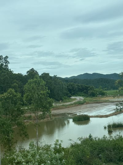 The image captures a serene landscape in Hoa Xuan, Vietnam, characterized by lush greenery and calm waters. In the foreground, a body of tranquil water reflects the overcast sky, with several small islands of reeds dotting its surface. The water is bordered by dense vegetation, including bushes and trees, some of which bear small white flowers. Beyond the water, a winding dirt road meanders through a rural setting, leading towards a backdrop of rolling hills covered in thick forest. The sky is filled with a layer of soft, gray clouds, suggesting a mild or possibly rainy day. The overall atmosphere is one of natural beauty and peaceful seclusion, typical of the Vietnamese countryside. There are no people or animals visible in the frame.