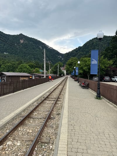 This media file depicts a railway station platform in Guamka, Russia. The scene is dominated by a mountain covered in dense green trees, suggesting a natural, possibly mountainous, environment. The sky is overcast with clouds, indicating it might be a cloudy day or early morning/late afternoon.

The railway tracks run along the right side of the image, with wooden sleepers and ballast. A paved platform runs parallel to the tracks, made of interlocking concrete pavers. Along the platform, there are several lampposts with decorative white globes and blue banners displaying text. One banner is prominently visible, showing white text and graphics on a blue background. Further down the platform, there are benches and a wooden structure that appears to be a building or a shelter, possibly a ticket office or waiting area. Some people are visible on the platform, including two individuals standing near the building. Their presence suggests the station is operational and people are either waiting for a train or have just arrived.

The overall impression is that of a functional, albeit perhaps quiet, rural or mountain railway station. The presence of the mountain and the foliage suggests a location surrounded by nature. The visible text on the banner is likely related to the location or a local service.