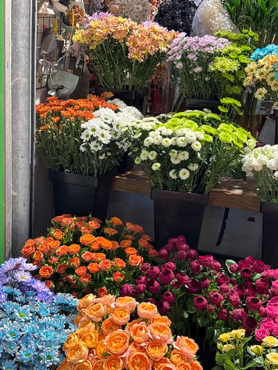 The image depicts a vibrant outdoor flower stall in Shenhe District, China. A variety of chrysanthemums and roses are displayed in numerous pots and bunches. The flowers range in color from bright orange and pink roses in the foreground to white, green, light purple, and light blue chrysanthemums in the background. Some flowers are in full bloom, while others are still in bud. The stall is situated against a grey metal structure, likely part of a building or a display rack. The lighting suggests a bright, sunny day, casting shadows on the wooden shelves behind the flowers. There are no people visible in the image.