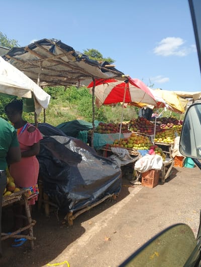 The image depicts a bustling roadside fruit market stall in Makuyu, Kenya, captured on a bright, sunny day under a clear blue sky with a few scattered clouds. The photograph appears to be taken from inside a vehicle, with a portion of a car's side mirror and window frame visible in the right foreground.
Several makeshift stalls are arranged along what appears to be a dirt or worn asphalt road. These rustic stalls are constructed from wooden poles and covered with various materials, including white, yellow, and black tarps, to provide shade. A prominent red and white striped umbrella further shades one of the central fruit displays.
The stalls are heavily laden with a large abundance of fruit, primarily mangoes, showcasing a vibrant mix of green, yellow, and red varieties. The fruits are neatly piled on wooden tables and elevated platforms. Empty orange plastic crates are visible near the base of some stalls. A large black tarp covers what appears to be goods or an unused section of a stall in the foreground.
On the left side of the scene, two individuals are present near one of the stalls. One person, largely obscured, wears a green shirt. Next to them, a woman in a salmon-pink dress with cut-out shoulder details stands, facing away from the camera, seemingly engaged in activity at the stall. The lower part of her dress features a colorful, patterned trim.
The background consists of lush green foliage, suggesting a rural or semi-urban environment. The overall scene conveys a lively, open-air market setting during daylight hours. There is no discernible text visible on any signs or objects within the frame.