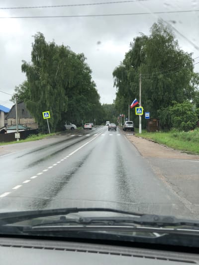 The image depicts a wet, paved road in Safonovo, Russia, with cars driving on it. Two large, leafy trees line the right side of the road, and smaller trees and vegetation are visible on the left. Several Russian flags are displayed on poles along the roadside. Pedestrian crossing signs are present. The sky is overcast and gray. The image appears to have been taken from inside a vehicle, with a windshield wiper visible in the foreground. The road shows signs of recent rain, with puddles and reflections on its surface.