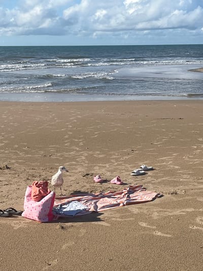 The image depicts a beach scene in Overveen, Netherlands, under a partially cloudy sky. The horizon features a dark blue-green ocean with numerous white-capped waves approaching the shore. The foreground consists of light brown sand.
On the sand, various items are present:
* To the far left, a pair of black flip-flops rests.
* Adjacent to the flip-flops, an open, pink fabric bag with white polka dots stands upright, containing an orange garment.
* A juvenile seagull with light brown and white plumage stands to the right of the bag, facing right.
* An orange and white striped beach towel or blanket is laid flat on the sand to the right of the seagull, with a light blue garment visible on it.
* Further right, a pair of pink plastic clogs are positioned on the sand.
* Closer to the water's edge on the right, a pair of white slide sandals is present.
No human individuals are visible in the scene. The seagull is the sole observed living subject.
