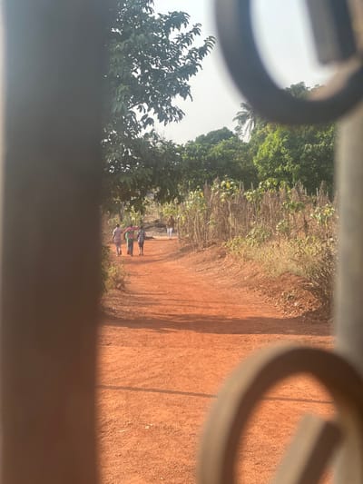 The scene depicts a rural dirt path in Umuoye, Nigeria, viewed through a narrow aperture, likely a gate or window frame, indicated by blurred foreground elements on the left and right. The path is composed of reddish-brown earth and extends into the midground. Sunlight casts shadows, suggesting a clear day.
Four individuals are present on the path, all walking away from the viewer. In the midground, a group of three persons walks together towards the left side of the frame. The leftmost person wears a patterned shirt. The central person carries a bundle of brightly colored fabric, green and pink. The rightmost person in this group wears a dark top. Further down the path, a fourth individual walks alone, wearing light-colored clothing.
The environment is characterized by vegetation. Dense green trees are visible in the background and along the left side of the path. On the right side of the path, a section of drier, stalky plants with some green foliage stands tall. A palm tree is discernible in the distant background on the right. The sky overhead is light and clear.