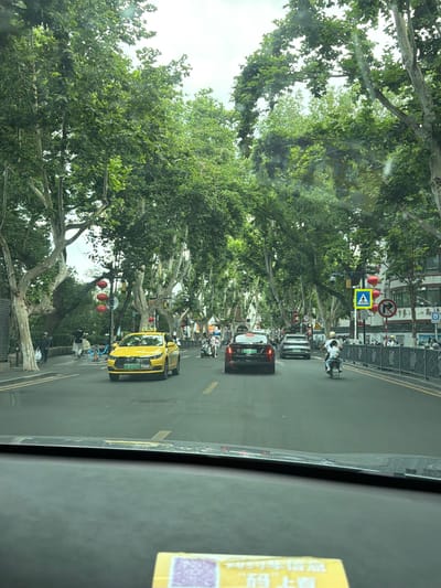 A forward-facing, eye-level shot depicts a street scene from inside a vehicle in Qinhuai District, China. The perspective is from the driver's seat, with the dashboard visible in the foreground. The street is lined with large trees, their dense green foliage forming a canopy overhead. Red lanterns are suspended from lampposts along the street.

Several vehicles are present on the road. A bright yellow taxi with license plate "AA D72248" is in the left lane, closer to the camera. Further ahead, a black sedan is in the right lane, followed by a silver SUV. A motorcycle with two riders is in the right lane, behind the silver SUV. Pedestrians are visible on the sidewalk to the left, including a person walking with a white bag and another person by a blue bicycle. Traffic lights and road signs, including a pedestrian crossing sign and a right-turn sign, are visible. The street appears to be well-maintained with clear lane markings. The overall impression is a busy urban street on a clear day.