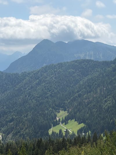 This is a high-angle, wide shot of a dense, verdant forest covering rolling hills, with layers of mountains receding into the hazy distance. In the foreground, the trees are dark green and appear to be coniferous, with some lighter green foliage interspersed. A winding road cuts through a bright green meadow nestled within the forest, with two small buildings visible near the road. The sky above is a pale blue with scattered white, fluffy clouds, some of which are obscuring the peaks of the furthest mountains. The overall impression is one of a serene, natural landscape. This location is likely in or near Raveo/Raviei, Italy, given the mountainous terrain and dense forests characteristic of the region.