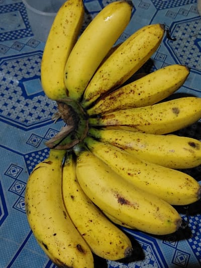 A bunch of Cavendish bananas are displayed on a blue surface with a repeating geometric pattern. The bananas have a yellow peel with some brown spots indicating ripeness. They are arranged in a semi-circular shape, converging at the stem end. The stem shows a mix of green and brown colors. The bananas are positioned in the center of the frame, capturing a top-down perspective.