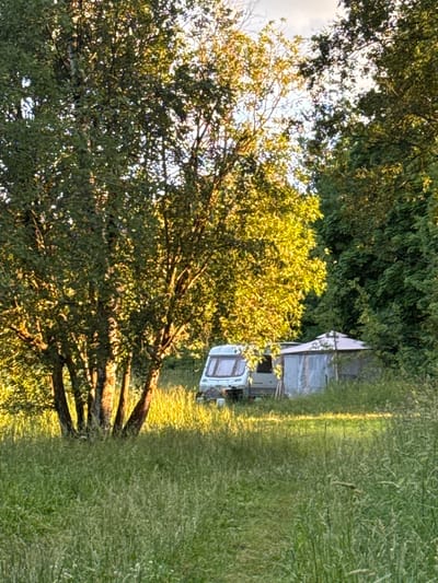 An outdoor scene in Voeikovo, Russia, shows a light green camper van and a light-colored gazebo situated in a grassy field with trees in the background. The sun is low in the sky, casting long shadows and illuminating the leaves of the trees with a golden light. The grass is tall and appears overgrown, with some wildflowers visible. The camper van has several windows and appears to be parked. The gazebo has a peaked roof and is partially enclosed with translucent material. The overall impression is one of a peaceful, rural setting during a summer evening.
