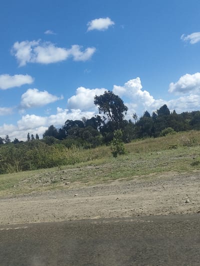 The image depicts a scene in Kibirichia ward, Kenya, featuring a landscape under a bright blue sky with scattered white clouds. A dense line of trees and bushes of varying sizes covers the middle ground, with a single prominent tree standing out towards the center of the frame. The foreground consists of a dirt and gravel slope transitioning into a paved road surface. No people or interactions are visible.