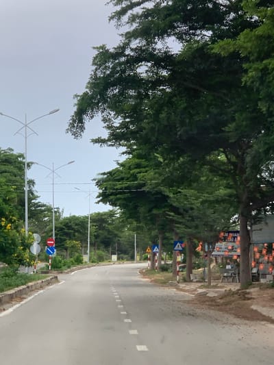 The image shows a paved road winding through a tree-lined area, likely in or near Vinh Hai, Vietnam. The road has dashed white lines marking the lanes. On the left side of the road, there are several streetlights, some yellow flowering bushes, and traffic signs, including a "no entry" sign and a blue circular sign with a white cross. Further down the road on the right, there is a small shop or stall decorated with small flags. Several people are seated at tables outside the stall. The sky is overcast, and the trees are dense with green foliage. The ground beside the road is covered with dirt and some scattered debris.