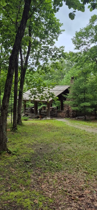 The image shows a rustic wooden structure, possibly a pavilion or shelter, nestled within a wooded area. The structure has a steeply pitched roof made of light-colored wooden planks and exposed wooden beams supporting it. Part of a stone chimney or wall is visible behind the structure. The surrounding environment is lush and green, with mature trees in the foreground and background, and a grassy area to the right. The ground is partly covered with dry leaves. The scene appears to be outdoors in a natural setting. The lighting suggests it is daytime, with overcast or diffused light, typical of a cloudy day. There is no visible text in the image. The image is oriented vertically, with the top of the image appearing on the left. There are no people or explicit activities depicted. The overall impression is one of a tranquil, natural location with a man-made structure blending into the environment.