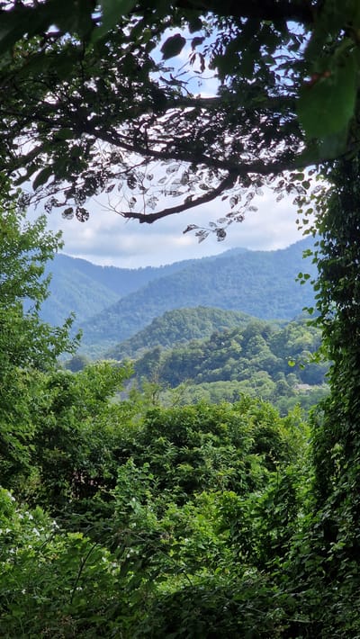 The image depicts a dense, verdant forest landscape viewed through a natural archway formed by tree branches and foliage. In the foreground, a thick canopy of leaves and branches obscures the view of the sky, with sunlight filtering through the gaps. Beyond this foliage, a series of rolling, forested mountains recede into the distance. The mountains are covered in lush green trees, with layers of peaks fading into a hazy, blue sky. The overall impression is one of a remote, natural environment, characteristic of the mountainous regions surrounding Verkhovskoye, Russia, known for its extensive forests and natural beauty. There are no people or animals visible in the image.