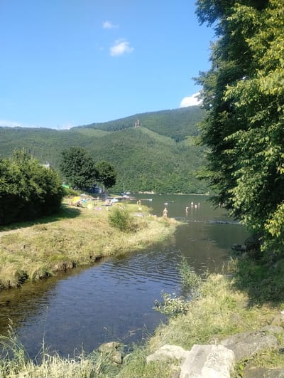 This is a medium shot, taken on a sunny day, of a riverbank with a lake in the background and a tree-covered hill beyond. In the foreground, a small, shallow stream flows from the lower left towards the right, its clear water revealing the rocky bottom. The stream bank is covered in dry, yellowed grass and some scattered rocks. To the right of the stream, the bank slopes upwards, also covered in grass, with some larger rocks at the water's edge.
The midground shows a wider body of water, likely a lake or a wider section of the river, where several people are swimming and wading. Some are standing in the water, while others appear to be further out. A few beach umbrellas and towels are visible on the grassy bank to the left of the lake, indicating a recreational area. Two trees stand on this bank, one to the left and one in the center, with another larger tree on the far right of the frame. In the distance, a densely forested hill rises, its green slopes dominating the background. The sky is a clear blue with a few wispy white clouds. The presence of the lake and surrounding hills suggests a natural, possibly park-like setting, consistent with locations like Międzybrodzie Bialskie, Poland, which is known for its lake and mountainous surroundings.