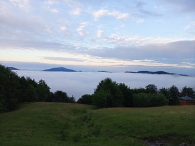 This is an outdoor, landscape photograph taken from a grassy hill overlooking a sea of fog. In the foreground, a green, undulating meadow occupies the lower half of the image. The meadow transitions to a dense, dark green forest that lines the horizon on the left and middle of the frame.
Above the fog, the dark silhouettes of mountains are visible, their peaks barely breaking through the dense white blanket. The sky above is a pale blue, adorned with scattered, wispy clouds that are tinged with soft pink and white hues, suggesting either early morning or late evening light.
To the far right of the image, nestled at the edge of the treeline, is a small, wooden building with a dark-colored roof. This building appears to be a small cabin or shed.
The overall atmosphere of the image is serene and peaceful, capturing a moment of natural beauty above the clouds, possibly in the mountainous region surrounding Rakhiv, Ukraine.