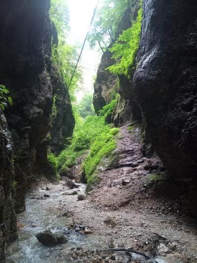 The image depicts a narrow gorge with steep, dark, and wet rock walls covered in lush green vegetation. A shallow, rocky stream flows through the bottom of the gorge, with water rushing over pebbles and stones. The light is dim, filtering down from the sky above, which appears bright and overcast, suggesting it might be a cloudy day or early morning/late afternoon. The environment is natural and untamed, with no visible signs of human habitation or activity other than what might be a thin cable or rope running along the left wall. The scene evokes a sense of wilderness and remoteness. The location is identified as Khushto-Syrt, Russia.