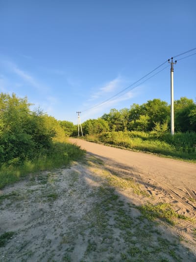An outdoor, eye-level, medium shot captures a dirt road winding through a lush green landscape under a clear blue sky. The road, characterized by tire tracks, curves to the right and recedes into the distance. On the left side of the road, dense green foliage and bushes dominate the foreground, with some taller trees visible further back. On the right side, a tall, slender white utility pole with insulators and wires stretches upwards, positioned amidst more greenery and trees. Another, shorter utility pole is visible further down the road. The sun casts long shadows across the dirt road and surrounding vegetation, indicating late afternoon or early morning light. The environment suggests a rural or semi-rural setting.