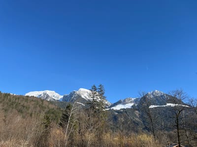 The image displays a mountainous landscape located in Schönau am Königssee, Germany, under a clear, bright blue sky that fills the upper two-thirds of the frame. A faint white contrail is visible in the upper center-right portion of the sky. In the background, a series of rugged mountain peaks are present, their summits and upper slopes covered in white snow. Below the snowline, the mountains are densely forested with dark green evergreen trees, transitioning into a mix of bare deciduous trees and evergreens on the midground slopes. The immediate foreground is dominated by a dense cluster of bare deciduous trees, characterized by their slender, leafless branches and varying bark tones of brown and light grey. No individuals, structures, or specific human activities are depicted within the scene.