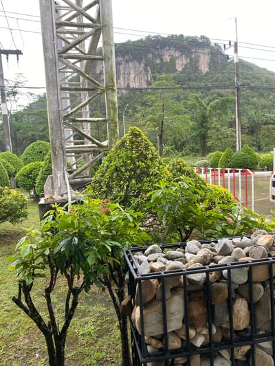 The image presents an outdoor scene in Tambon Tha Uthae, Thailand. In the foreground, a black metal cage filled with rocks is visible. To the left of the cage, a small tree with green leaves and red flowers stands. The ground is covered with green grass. Further to the left, a large, grey utility pole with power lines extends into the sky. In the background, green trees and a mountain cliff face can be seen. A building with a red and white striped barrier is also present in the mid-ground.